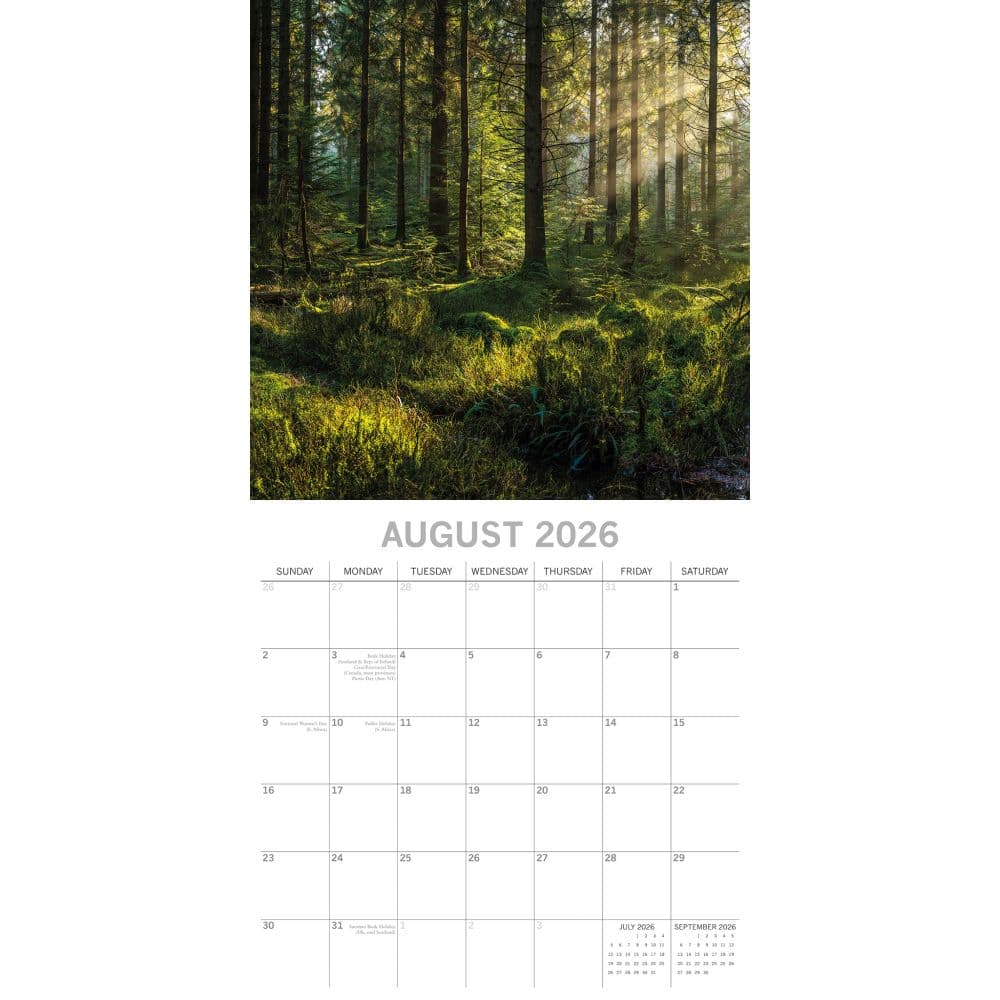 Woodland 2026 Wall Calendar Third Alternate Image