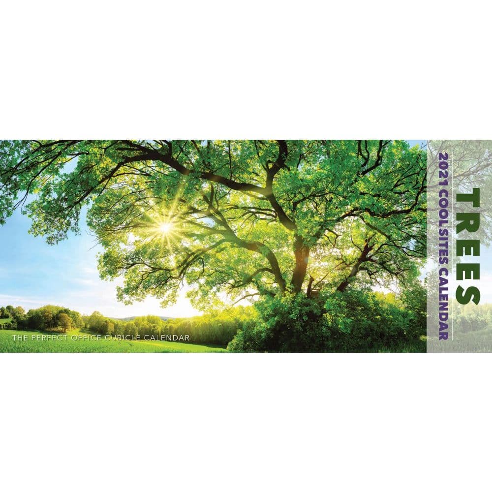 Trees Panoramic Wall Calendar