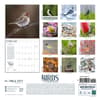 image Birds Feathered Friends 2025 Wall Calendar First Alternate Image width="1000" height="1000"