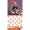 image Extraordinary-Chickens-2024-Wall-Calendar-Alt4