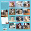 image Cats on Catnip 2024 Wall Calendar Alternate Image 1