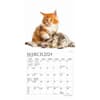image For the Love of Kittens 2024 Mini Wall Calendar Second Alternate Image width=&quot;1000&quot; height=&quot;1000&quot;