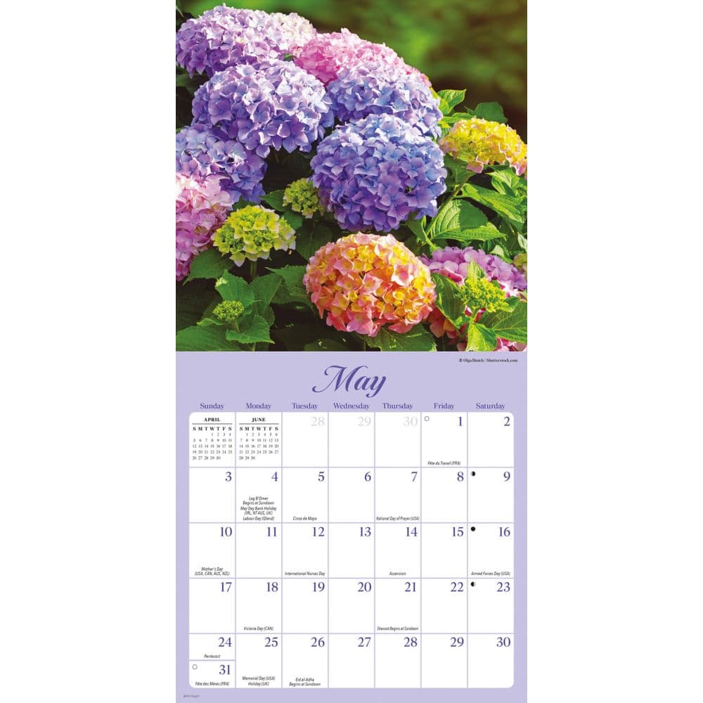 Flowers Special Value 2026 Mini Wall Calendar Third Alternate Image