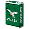 image Philadelphia Eagles Gift Bag Main Product Image