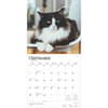 image Tuxedo Cats 2025 Wall Calendar