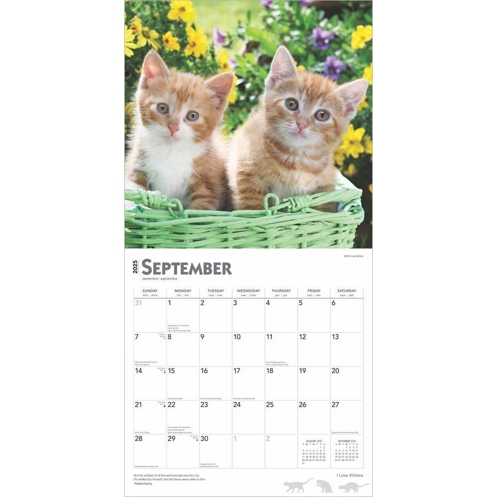 I Love Kittens 2025 Wall Calendar Third Alternate Image