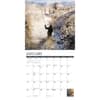 image Anglers 2025 Wall Calendar