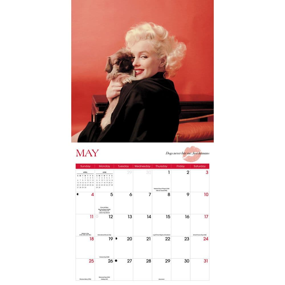 Marilyn Monroe Black and White 2025 Wall Calendar Third Alternate Image width=&quot;1000&quot; height=&quot;1000&quot;