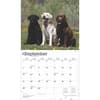 image Lab Retriever Deluxe 2025 Wall Calendar Third Alternate Image