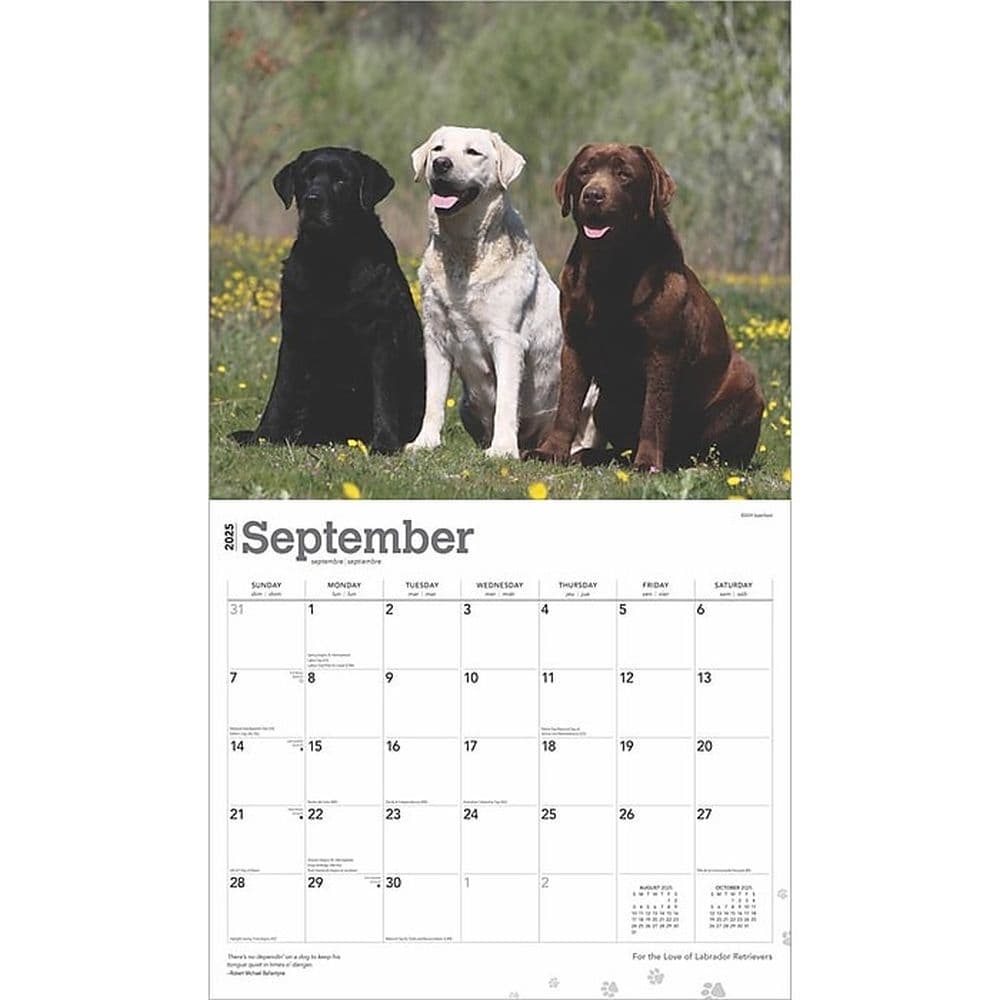 Lab Retriever Deluxe 2025 Wall Calendar Third Alternate Image