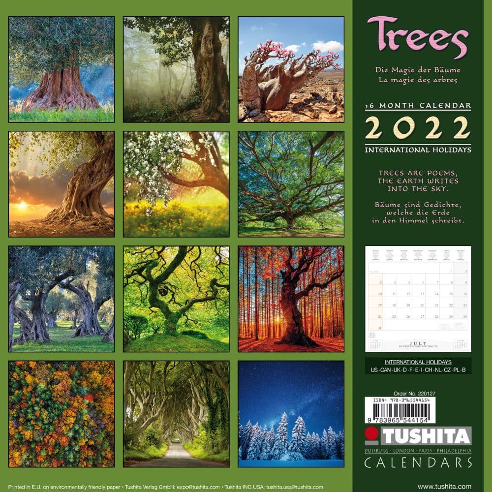 Trees 2022 Wall Calendar - Calendars.com