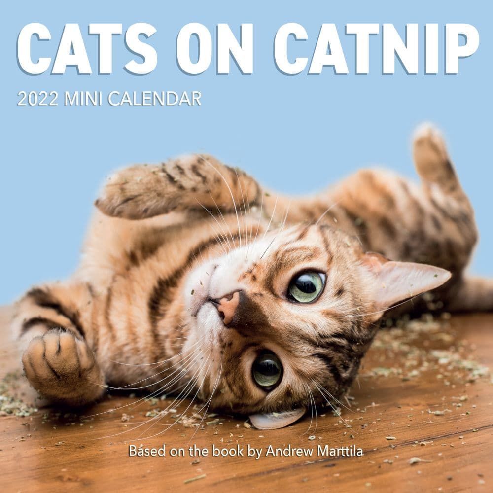 Cats on Catnip 2022 Mini Wall Calendar