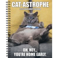 image Cat Astrophe 2026 Engagement Planner Main Image