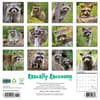 image Rascally Raccoons 2025 Wall Calendar First Alternate Image width=&quot;1000&quot; height=&quot;1000&quot;