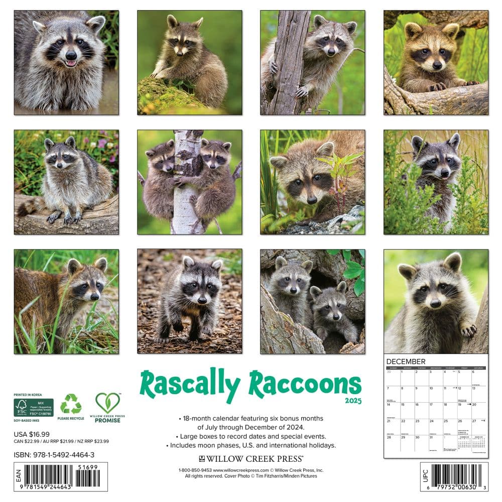 Rascally Raccoons 2025 Wall Calendar First Alternate Image width=&quot;1000&quot; height=&quot;1000&quot;