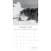 image Seascapes 2024 Wall Calendar January