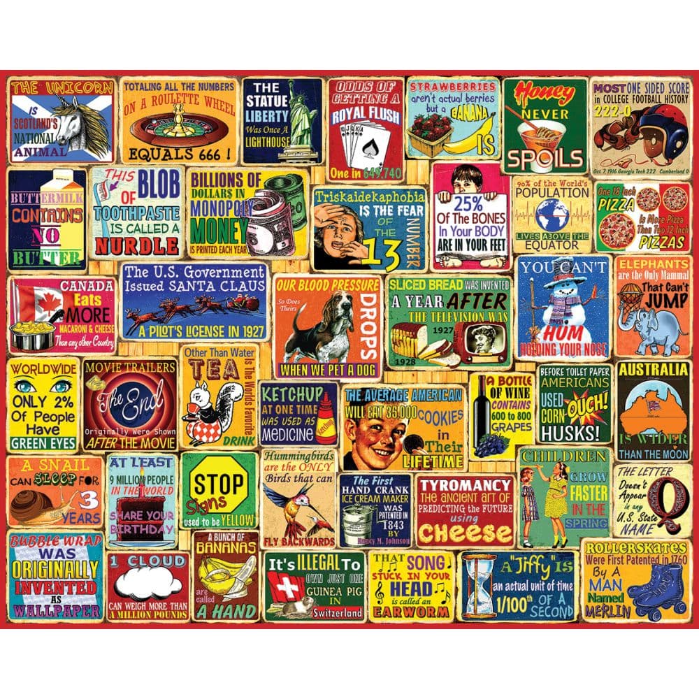 Did You Know 1000 Piece Puzzle First Alternate Image