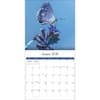 image Butterflies Photo 2026 Wall Calendar_ALT3