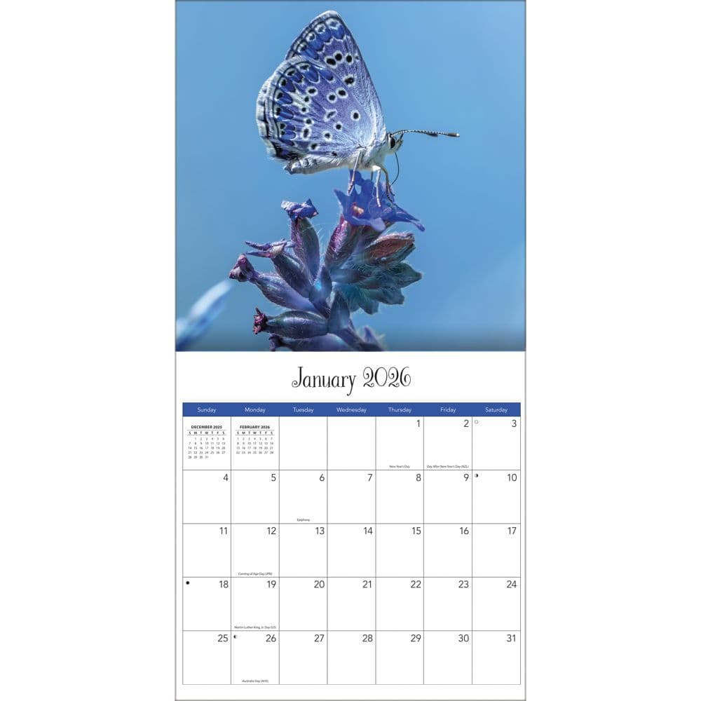 Butterflies Photo 2026 Wall Calendar_ALT3