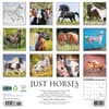 image Just Horses 2025 Wall Calendar First Alternate Image width=&quot;1000&quot; height=&quot;1000&quot;