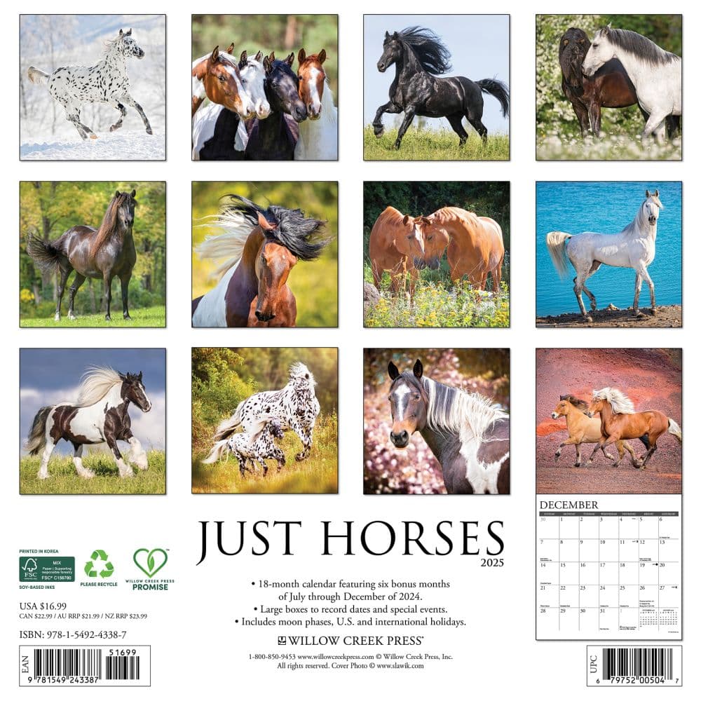 Just Horses 2025 Wall Calendar First Alternate Image width=&quot;1000&quot; height=&quot;1000&quot;
