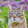 image Cats 2025 Wall Calendar  Main Image