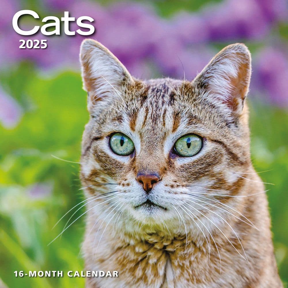 Cats 2025 Wall Calendar