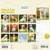 image Just Yellow Labs 2026 Wall Calendar First Alternate Image