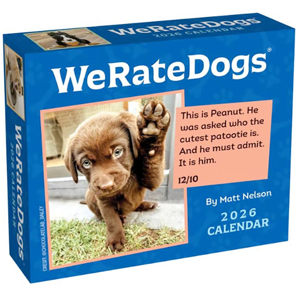 We Rate Dogs 2026 Desk Calendar Front of Box
