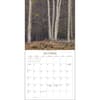 image Witches Woods w/Quotes from MacBeth 2024 Wall Calendar Fourth Alternate Image width=&quot;1000&quot; height=&quot;1000&quot;