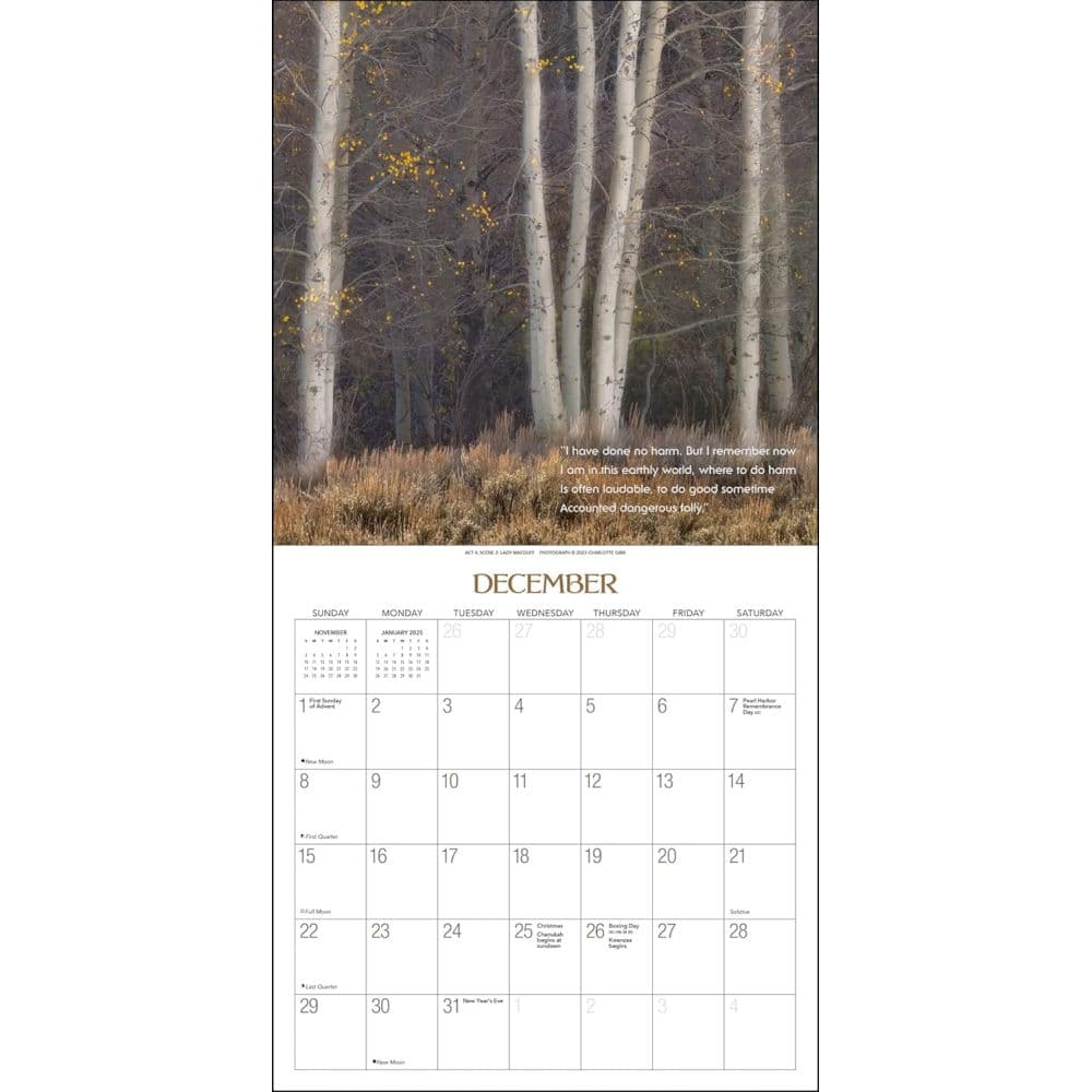 Witches Woods w/Quotes from MacBeth 2024 Wall Calendar Fourth Alternate Image width=&quot;1000&quot; height=&quot;1000&quot;