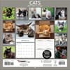 image Cats Photo 2025 Wall Calendar