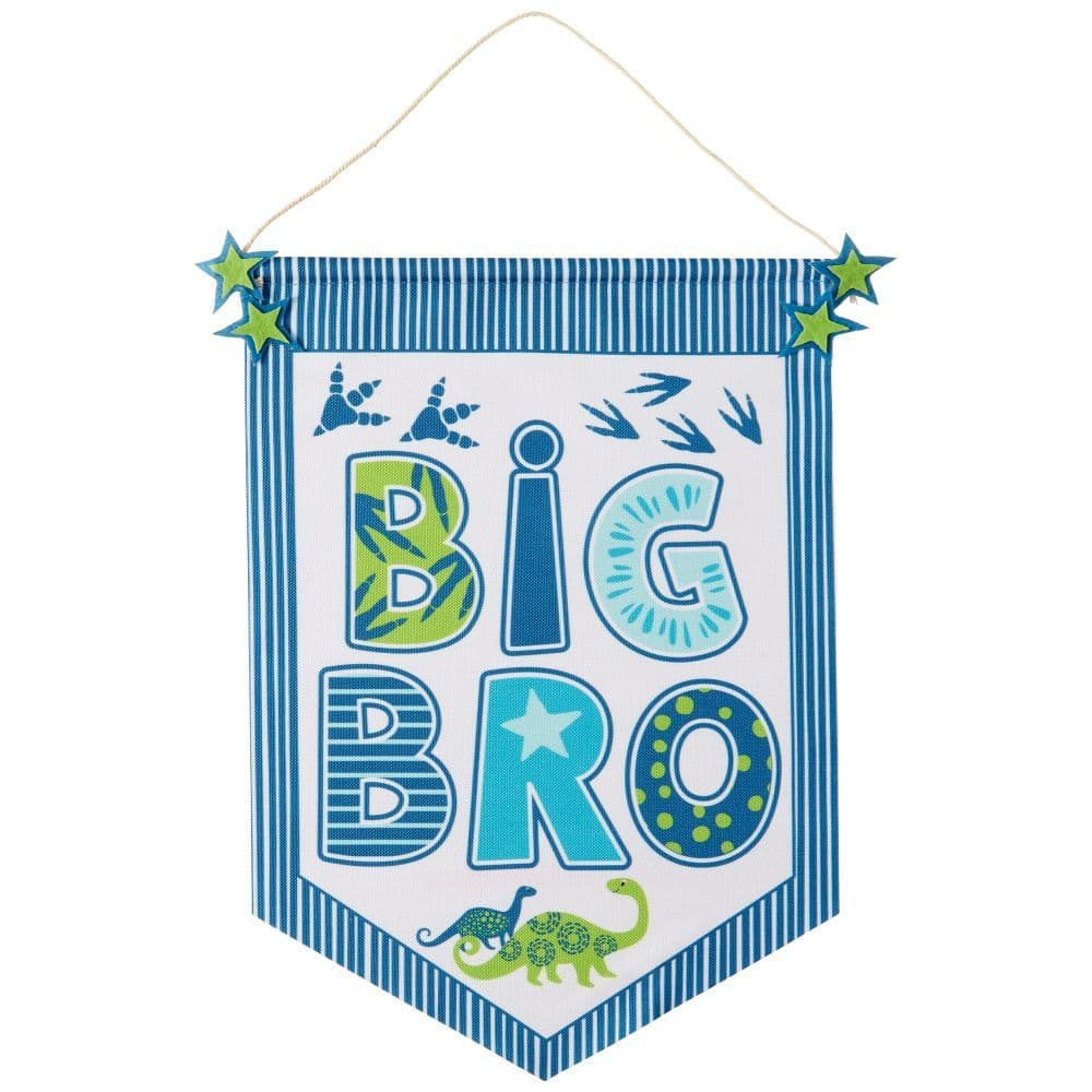 Big Bro Banner Main Image