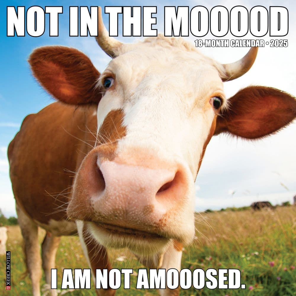 Not In The Mooood 2025 Wall Calendar Main Image