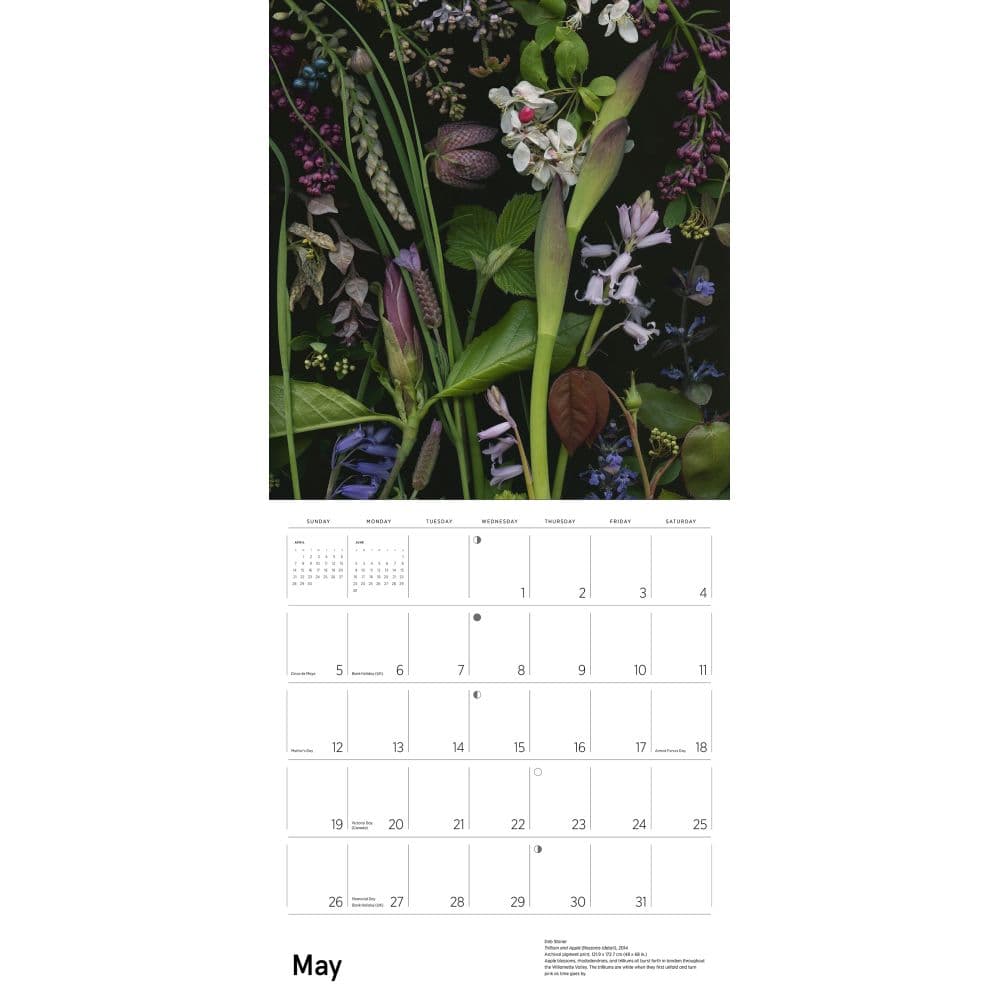 Stoner Flora 2024 Wall Calendar_ALT2