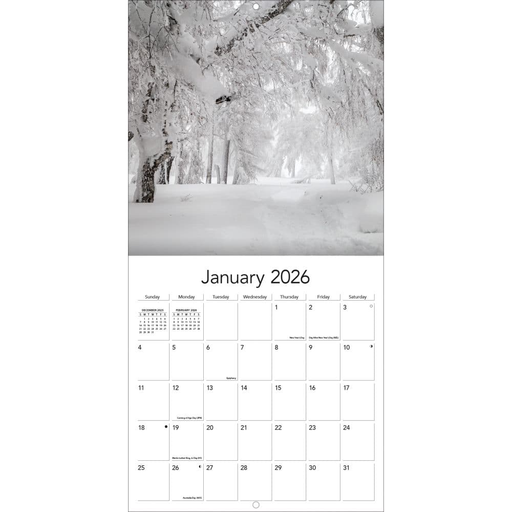 Wild and Wonderful Weather 2026 Mini Wall Calendar_ALT2