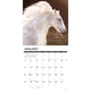 image Seize The Hay 2026 Wall Calendar Second Alternate Image