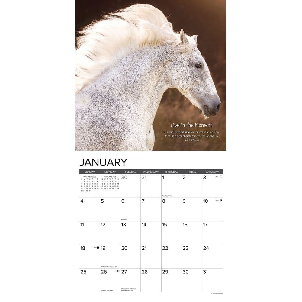 Seize The Hay 2026 Wall Calendar Second Alternate Image