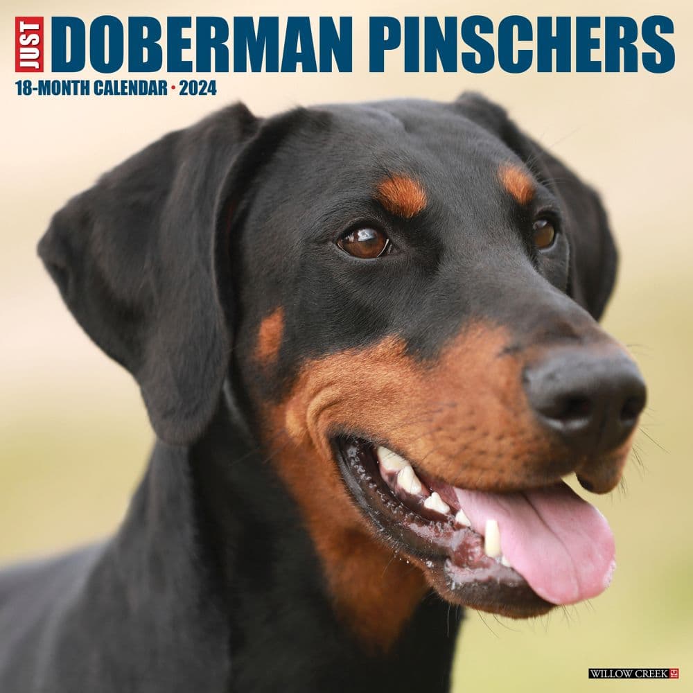 Just Dobermans 2024 Wall Calendar