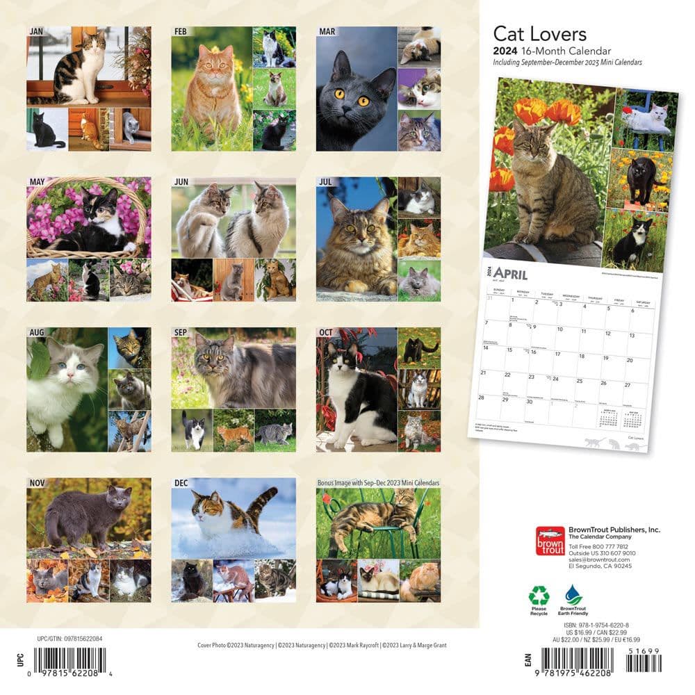 Cat Lovers 2024 Wall Calendar Alternate Image 1