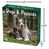 image Dogs And Puppies 2025 Desk Calendar Fifth Alternate Image