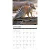 image Wildlife Down Under 2025 Wall Calendar Second Alternate Image width="1000" height="1000"