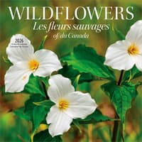 image Wildflowers 2026 Wall Calendar Main Product Image