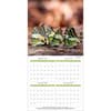 image Butterflies Photo 2027 Wall Calendar