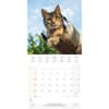 image Cool Cats 2025 Wall Calendar Third Alternate Image width="1000" height="1000"