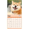 image Dog is Good Fur Wisdom 2025 Wall Calendar Third Alternate Image width="1000" height="1000"