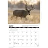 image Mule Deer 2025 Wall Calendar Alt2