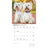 image Just Westies 2026 Wall Calendar Second Alternate Image