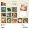 image Pomeranians 2025 Wall Calendar Alt1