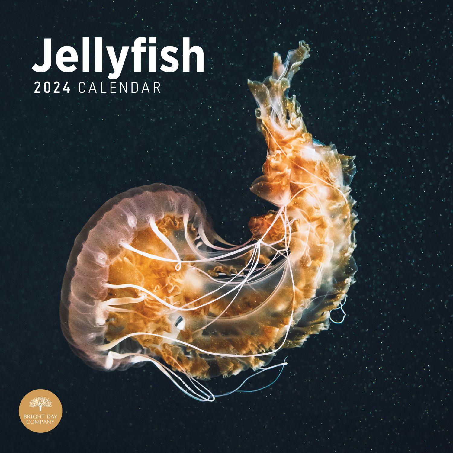 Jellyfish 2025 Wall Calendar